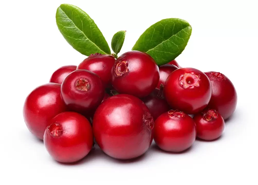 Cranberry em femixal